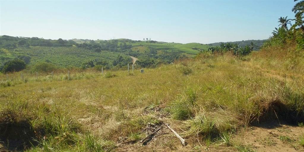 5468 m² Land available in Palm Beach photo number 4