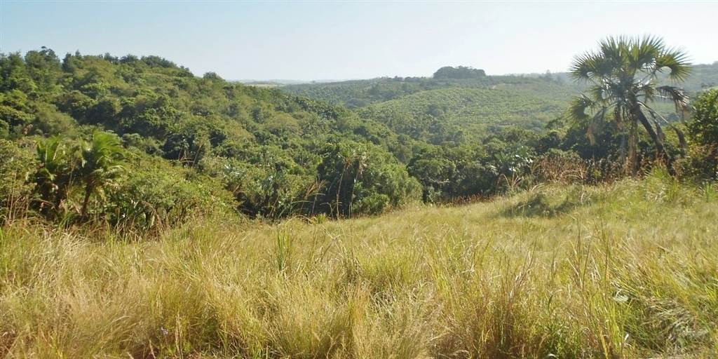 5468 m² Land available in Palm Beach photo number 10