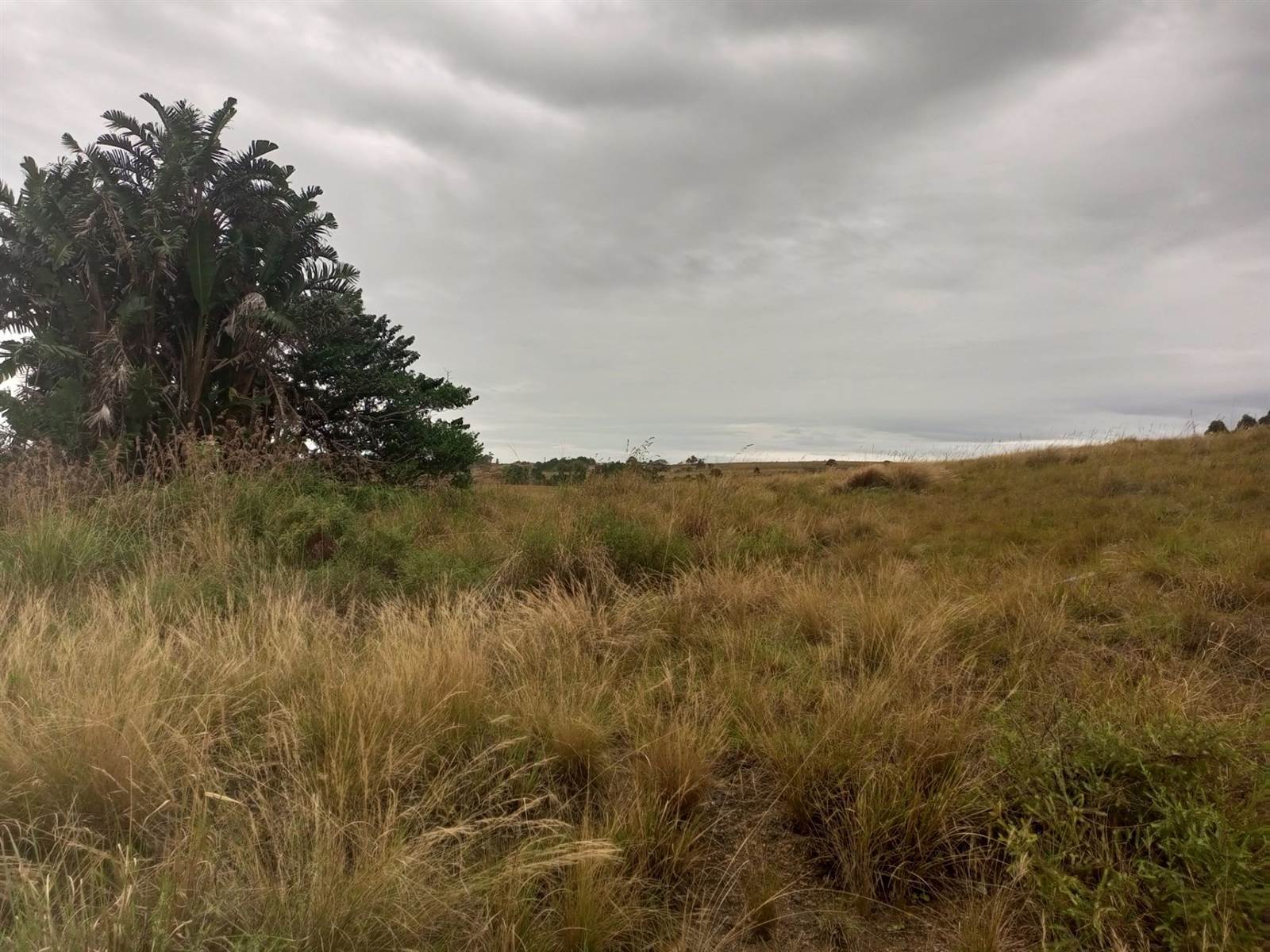 1021 m² Land available in Margate photo number 5