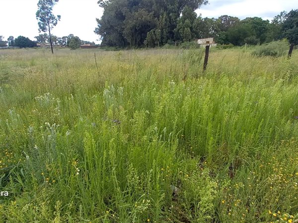 8090 m² Land available in Riversdale