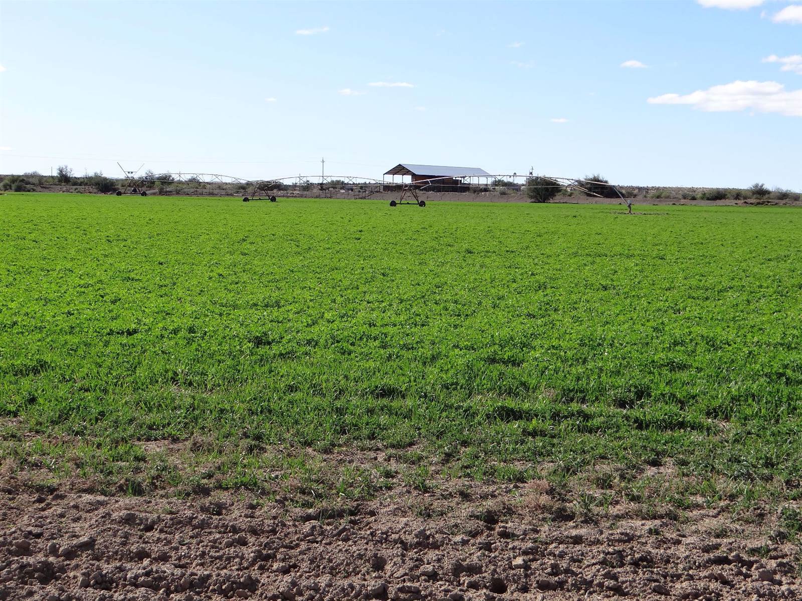 5000 ha Farm in Beaufort West photo number 3