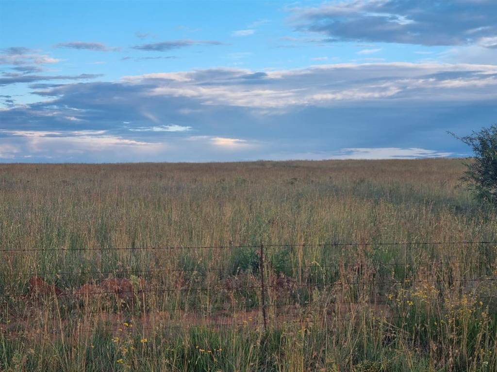 638 ha Farm in Bloemfontein Rural photo number 11