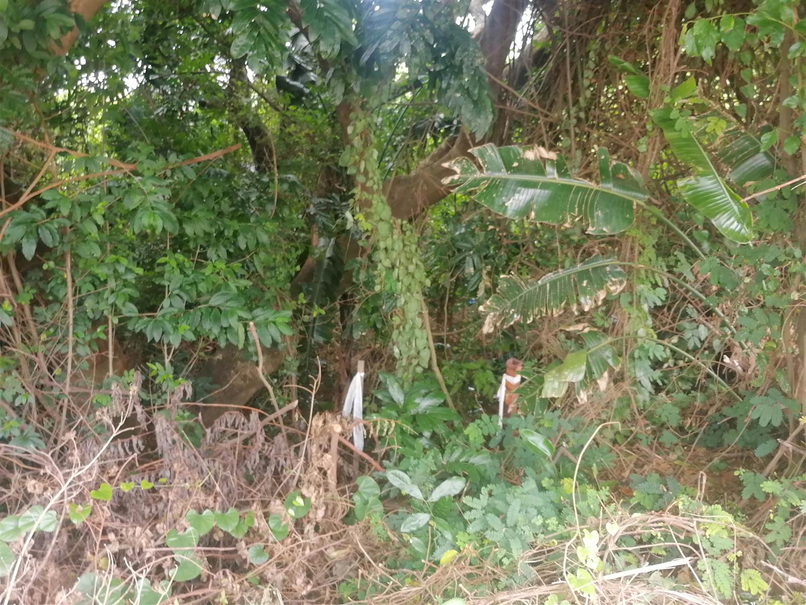1160 m² Land available in Desainagar photo number 12