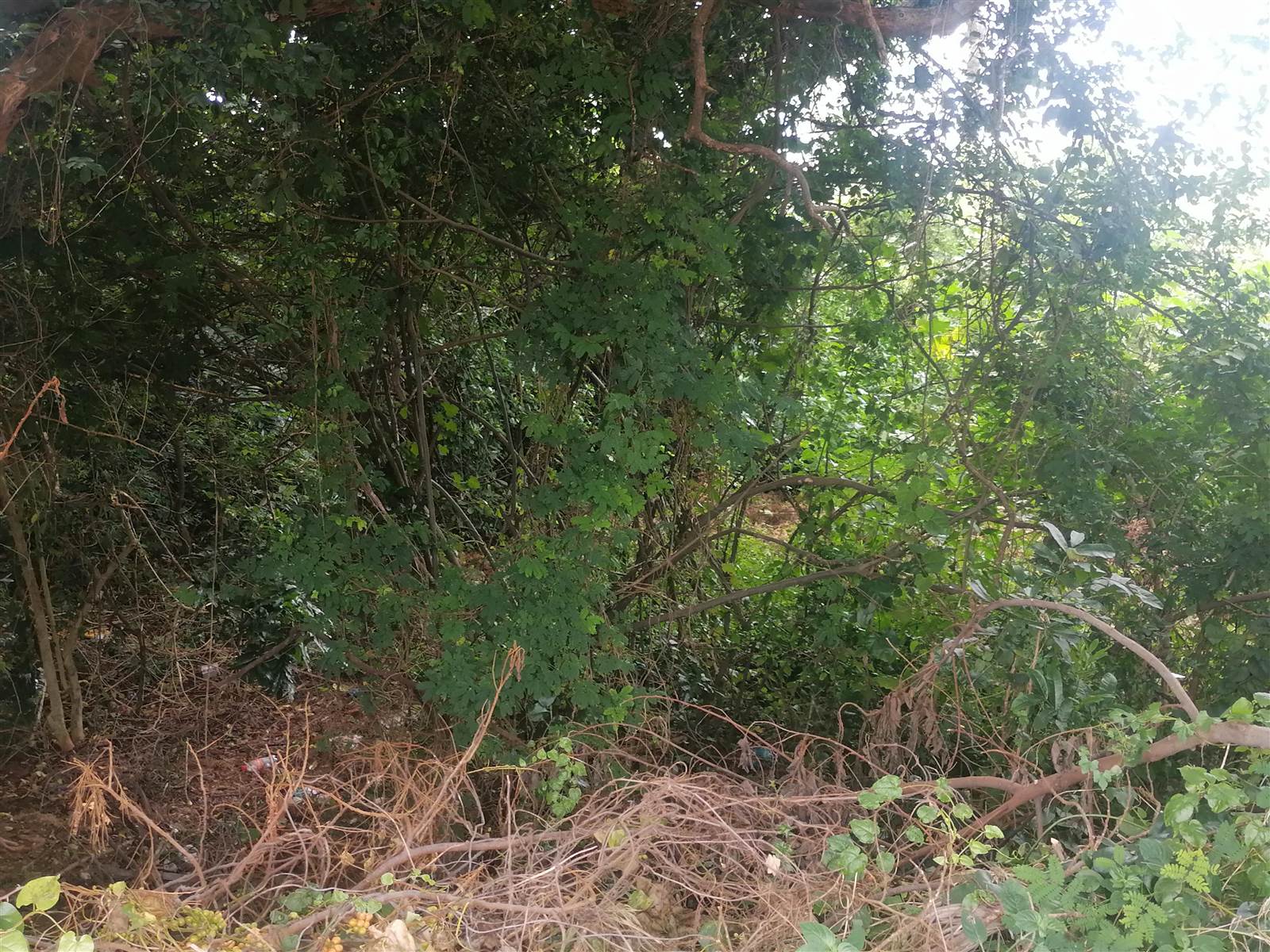 1160 m² Land available in Desainagar photo number 9