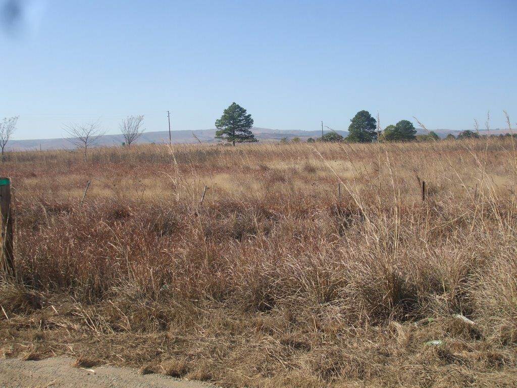 1 ha Land available in Lydenburg photo number 4