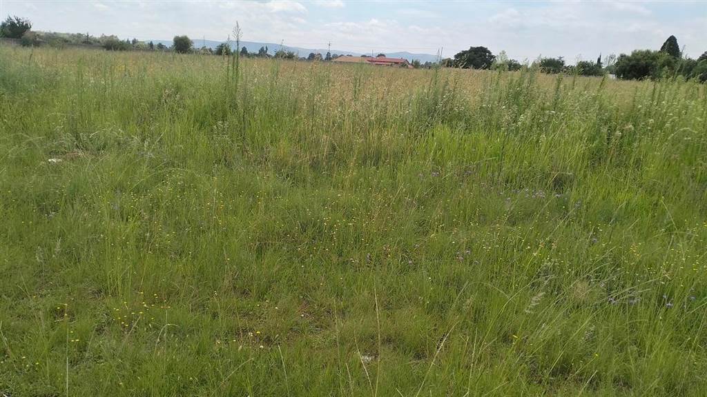 4220 m² Land available in Henley on Klip photo number 2