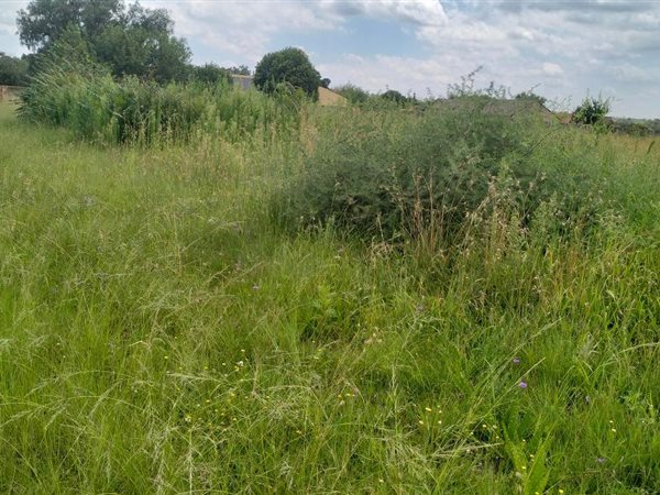 4220 m² Land available in Henley on Klip