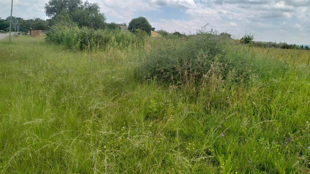 4220 m² Land available in Henley on Klip photo number 1