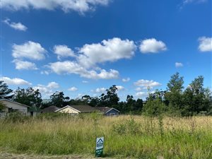 1148 m² Land available in Cato Ridge