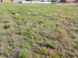 1481 m² Land available in Riversdale