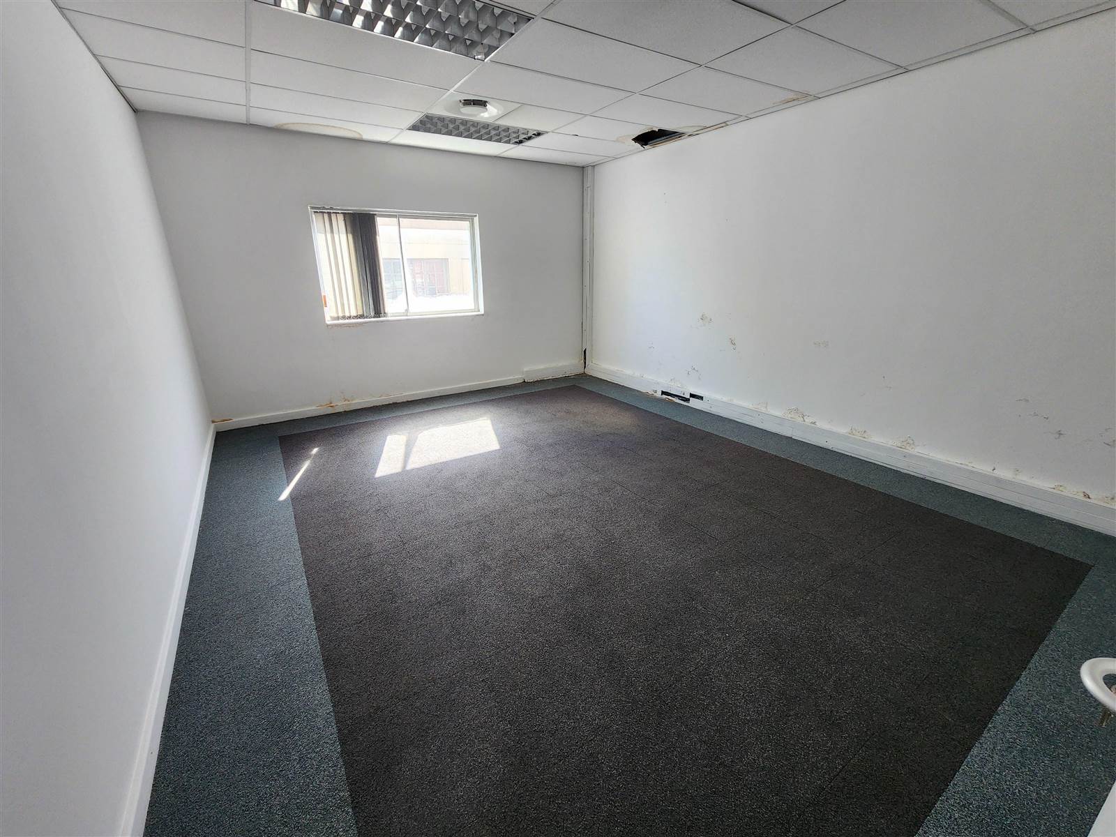 600  m² Commercial space in Wynberg photo number 8