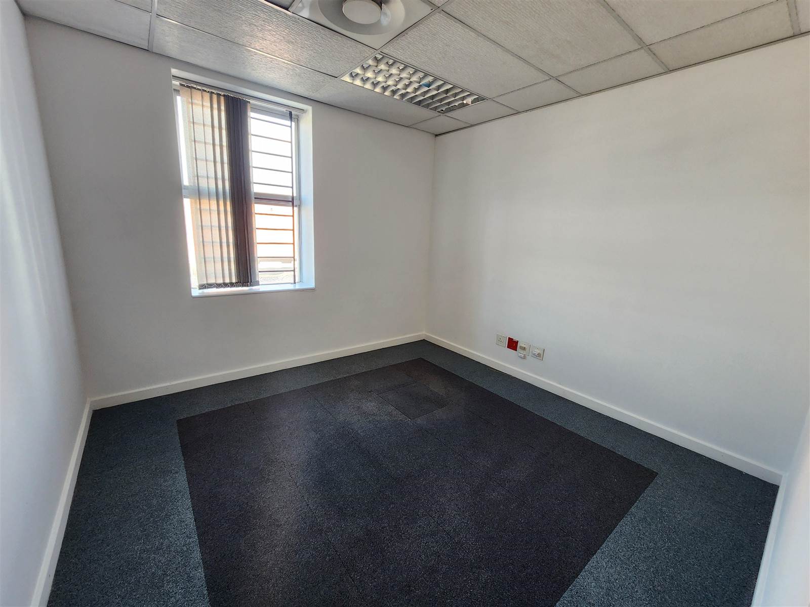 600  m² Commercial space in Wynberg photo number 15