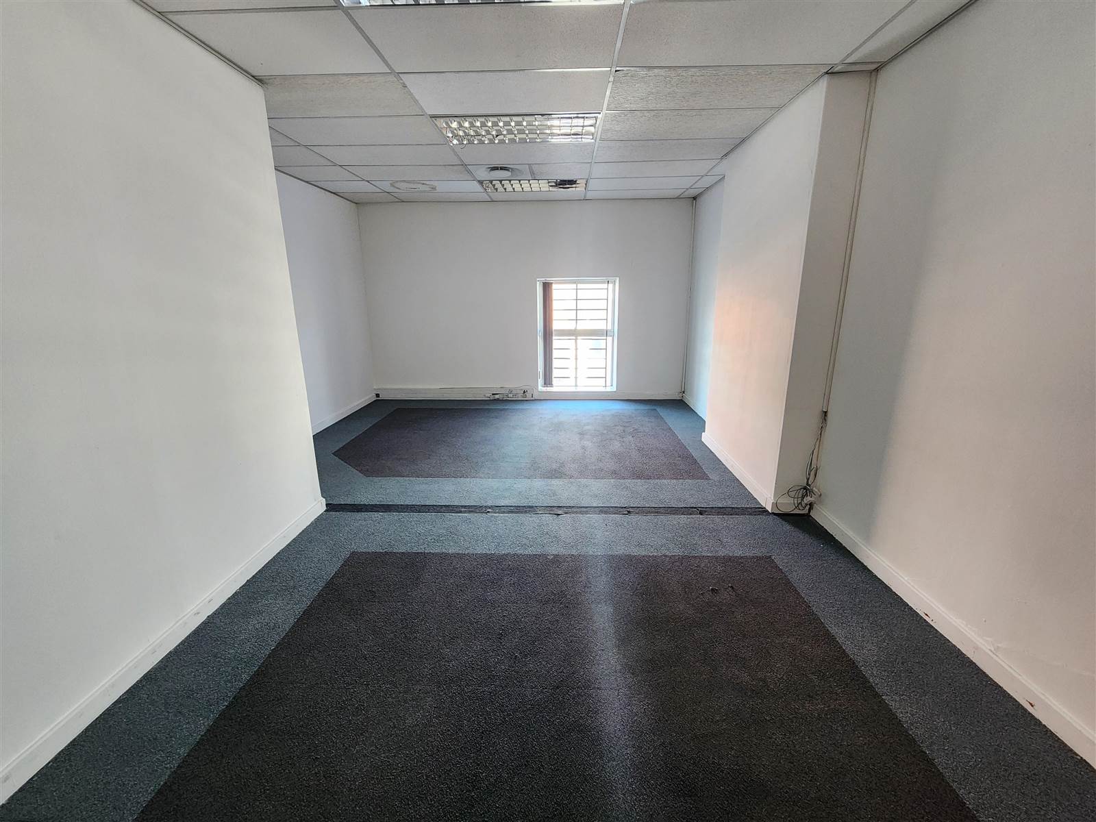 600  m² Commercial space in Wynberg photo number 13