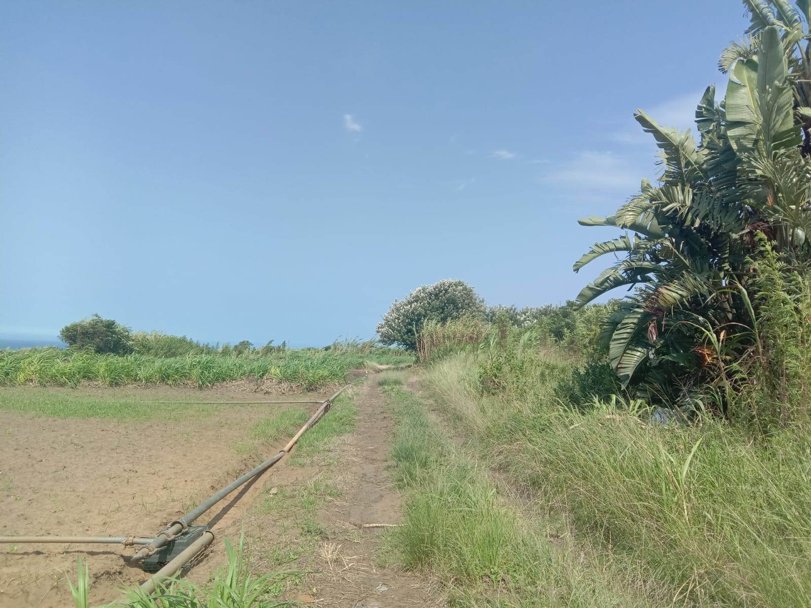 14.1 ha Land available in Tongaat Central photo number 7
