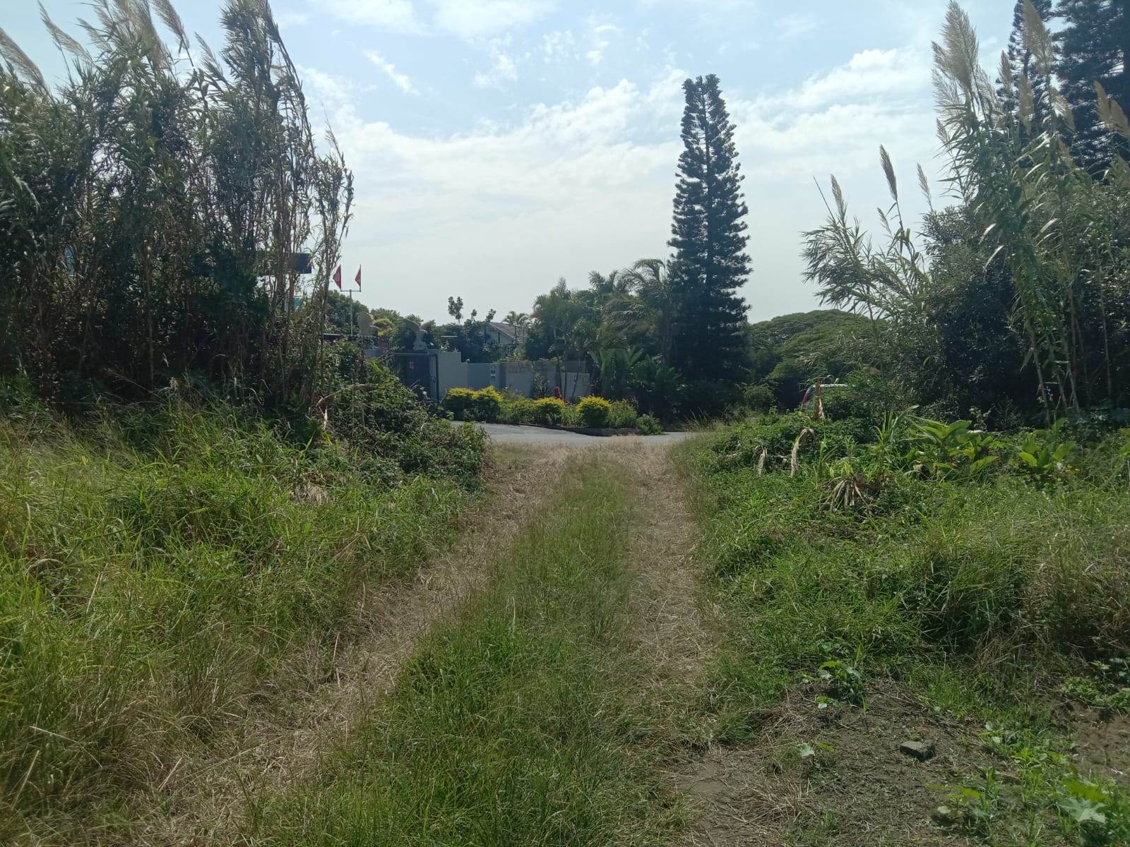 14.1 ha Land available in Tongaat Central photo number 9