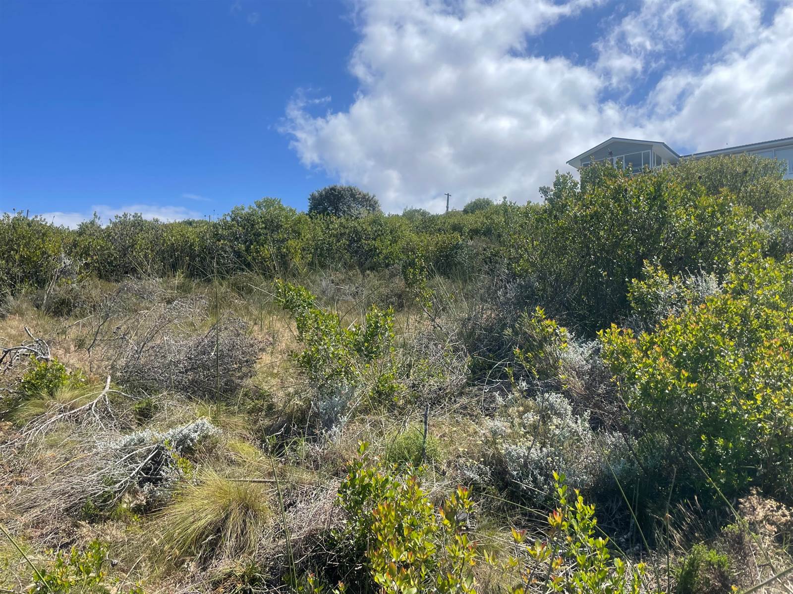 896 m² Land available in Dana Bay photo number 4