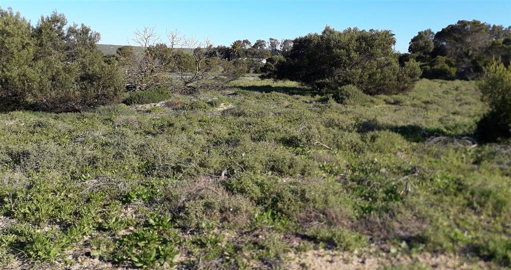 402 m² Land available in Shelley Point photo number 16