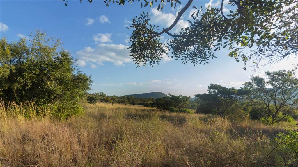 1 ha Land available in Modimole (Nylstroom) photo number 29