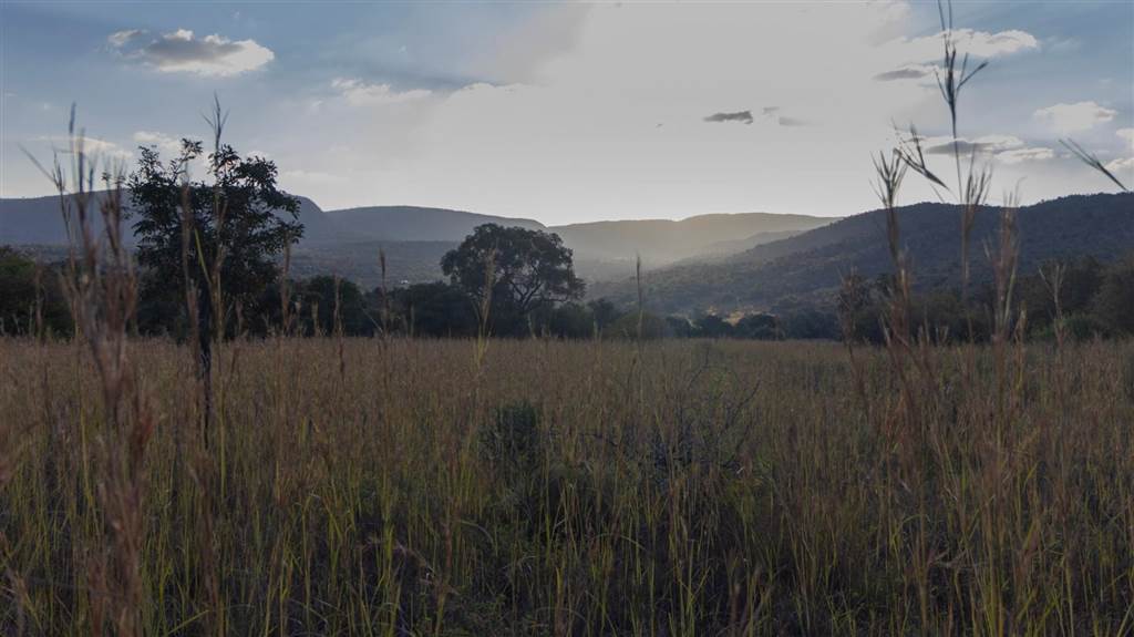 1 ha Land available in Modimole (Nylstroom) photo number 12