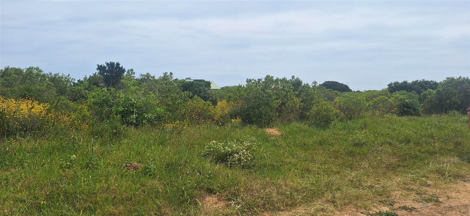 1183 m² Land available in Riversbend photo number 2