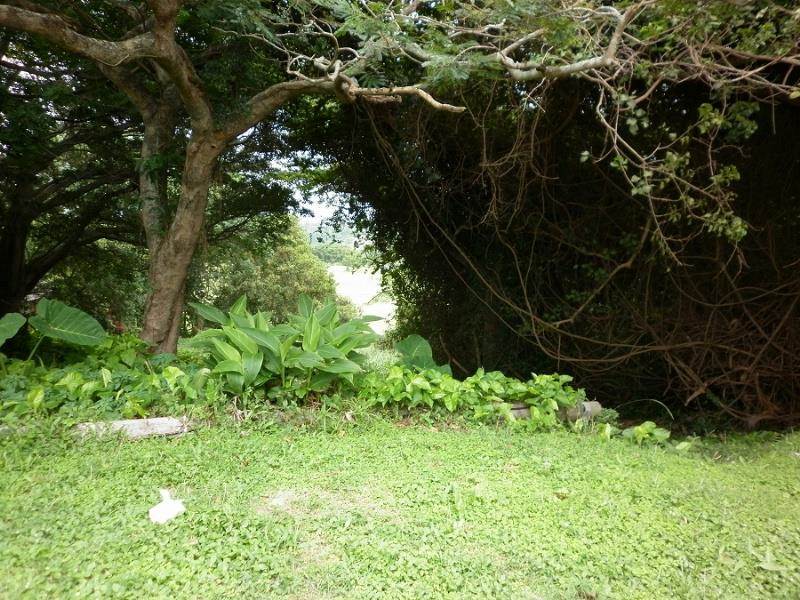 1273 m² Land available in Scottburgh Central photo number 3
