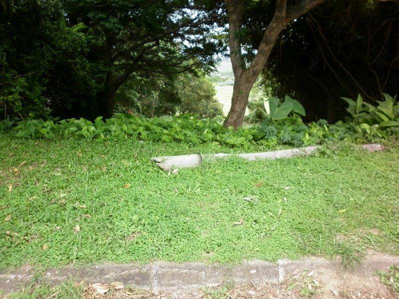 1273 m² Land available in Scottburgh Central photo number 2