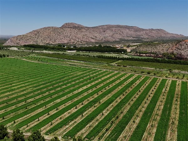 70 ha Farm 70 ha Farm