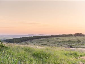 2785 m² Land available in Seaton Estate