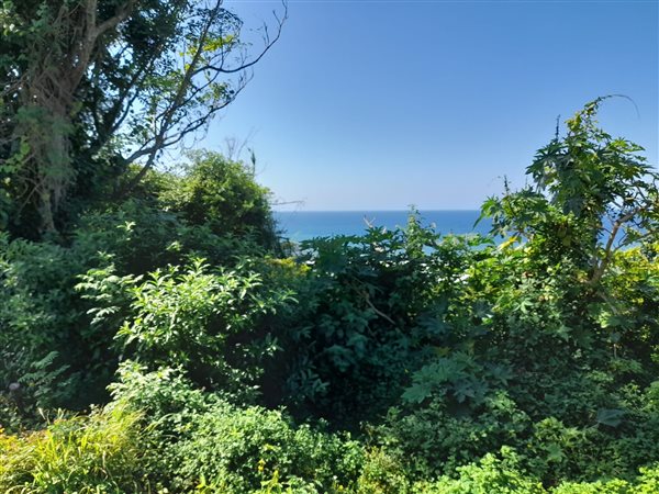 1 162 m² Land 1 162 m² Land
