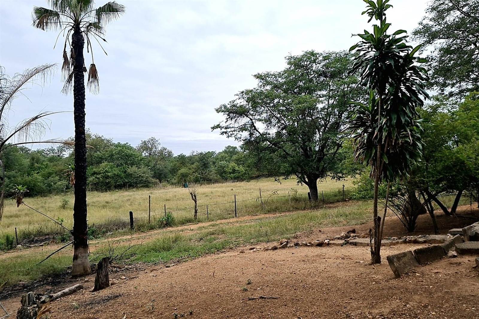 Farm in Tzaneen photo number 3