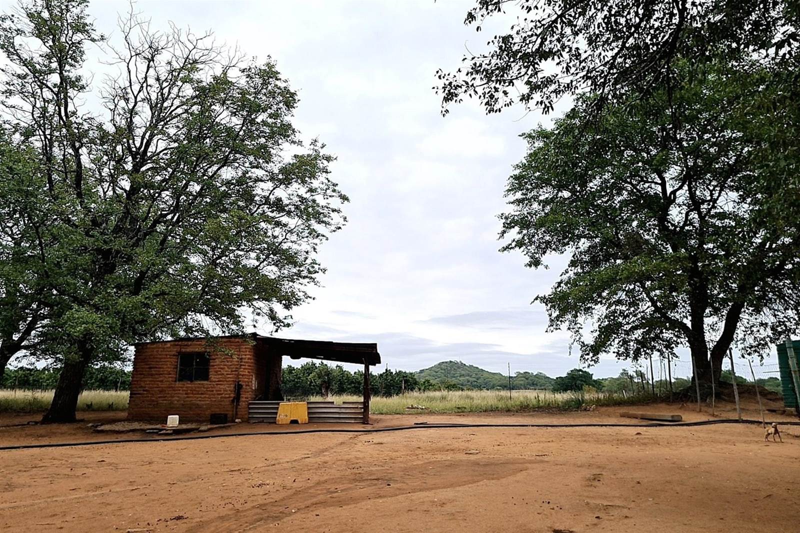 Farm in Tzaneen photo number 5
