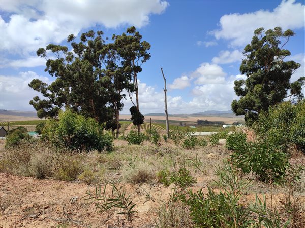 595 m² Land available in Bot River