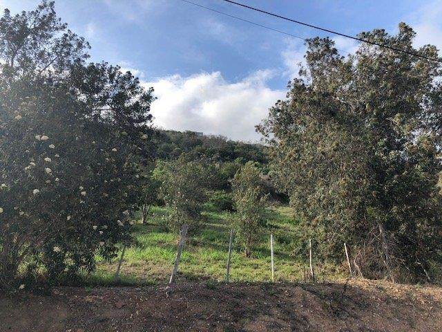 1.2 ha Land available in Great Brak River photo number 13