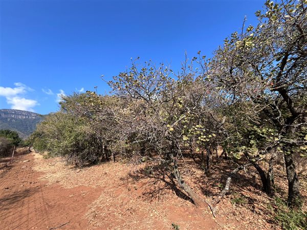 2 684 m² Land 2 684 m² Land