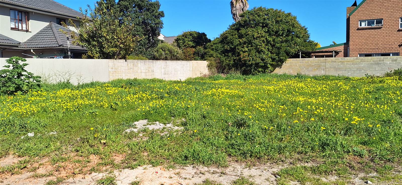 605 m² Land available in Saldanha photo number 9