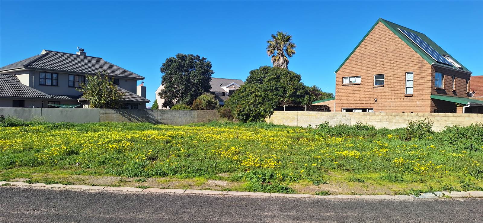 605 m² Land available in Saldanha photo number 1