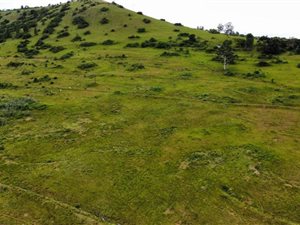 53.4 ha Farm in Cato Ridge