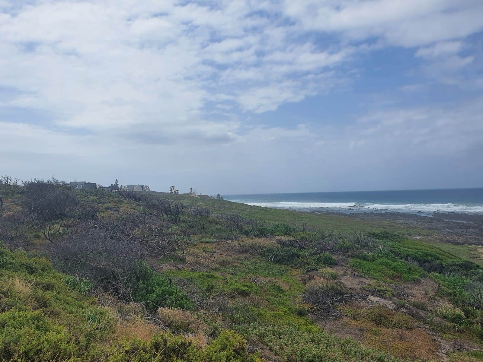 7013 m² Land available in Seaview photo number 8