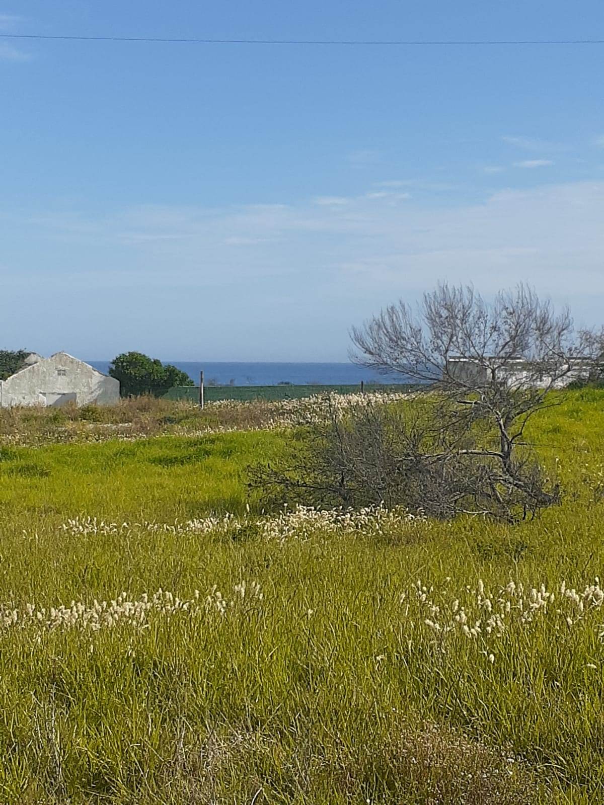 7013 m² Land available in Seaview photo number 1