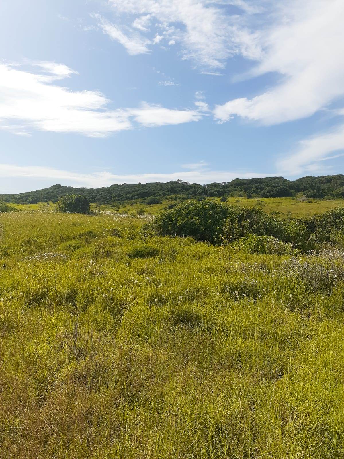 7013 m² Land available in Seaview photo number 5