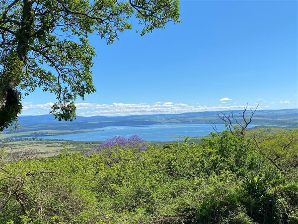 58.2 ha Farm in Greytown