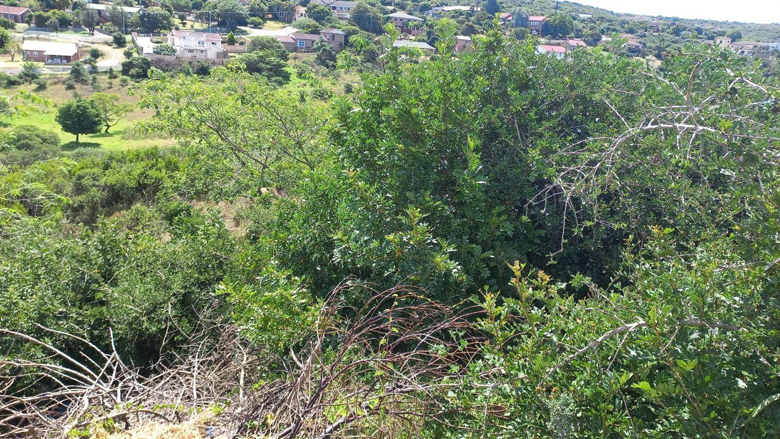 1138 m² Land available in Oatlands North photo number 5