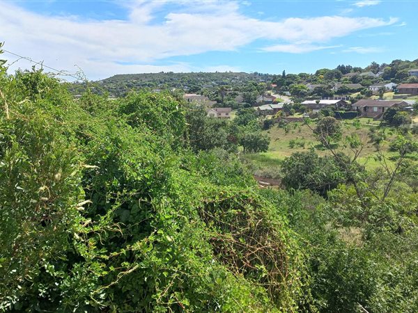 1138 m² Land available in Oatlands North