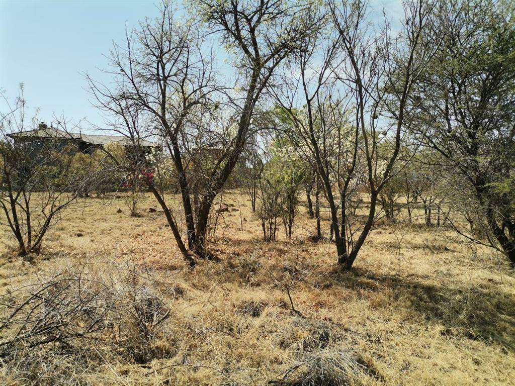 909 m² Land available in Seasons Lifestyle Estate photo number 2