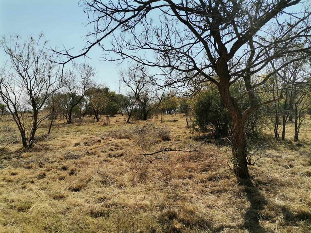 909 m² Land available in Seasons Lifestyle Estate photo number 6