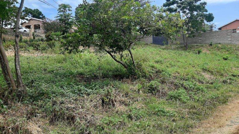 1062 m² Land available in Umzinto photo number 5