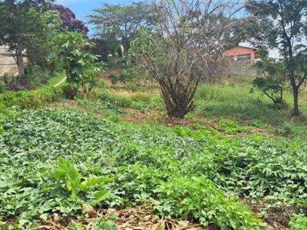 1062 m² Land available in Umzinto
