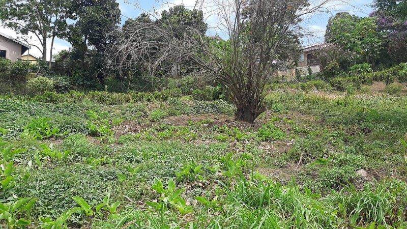 1062 m² Land available in Umzinto photo number 12