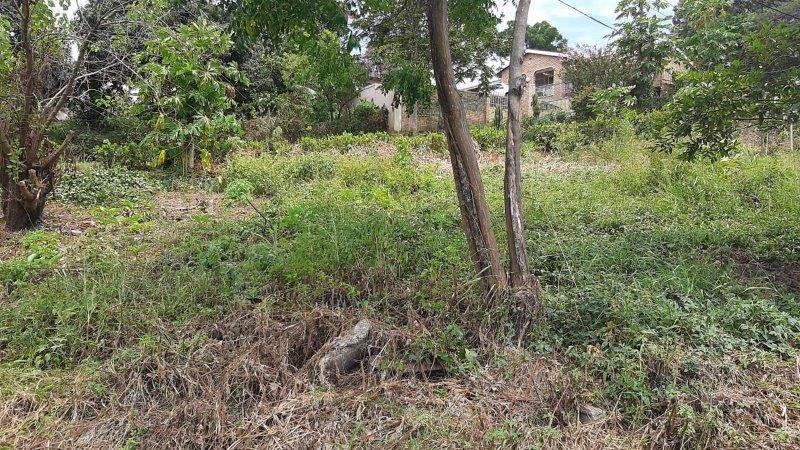 1062 m² Land available in Umzinto photo number 10