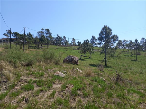 1 018 m² Land